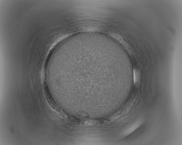 X0000112730579200909031446