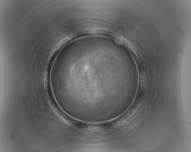 X0000112730581200909031446