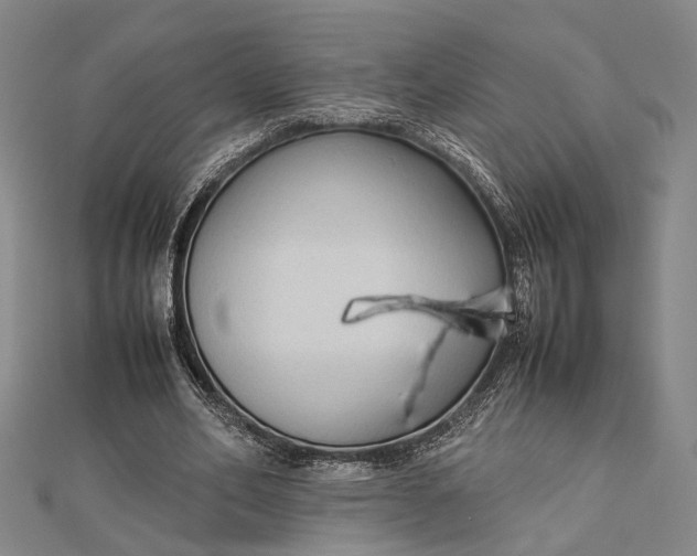 X0000112730582200909031446