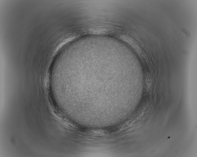 X0000112730583200909031446