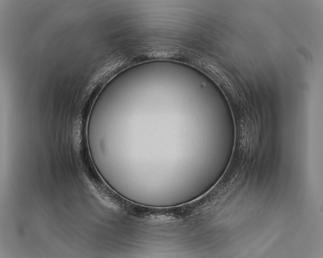 X0000112730586200909031446