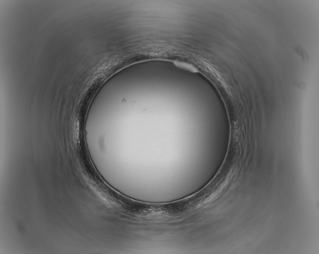 X0000112730589200909031446