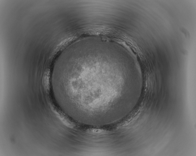 X0000112730590200909031446