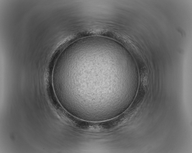 X0000112730591200909031446