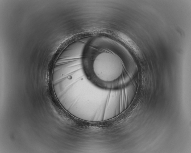 X0000112730592200909031446