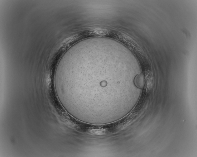 X0000112730595200909031446