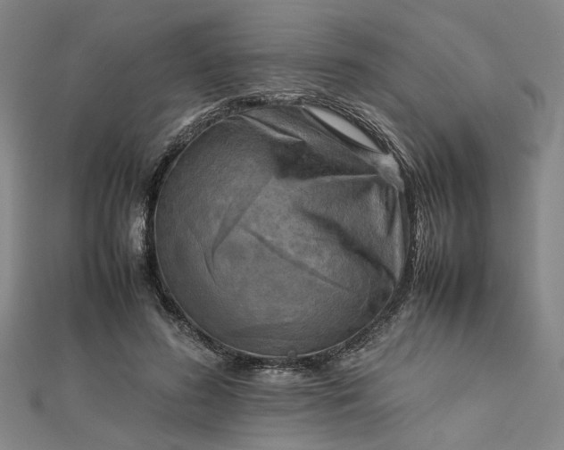 X0000112730596200909031446