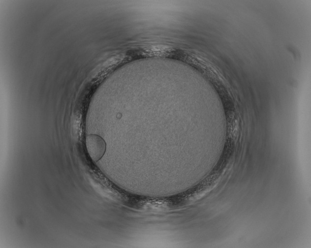 X0000112730599200909031446