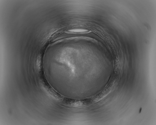 X0000112730600200909031446