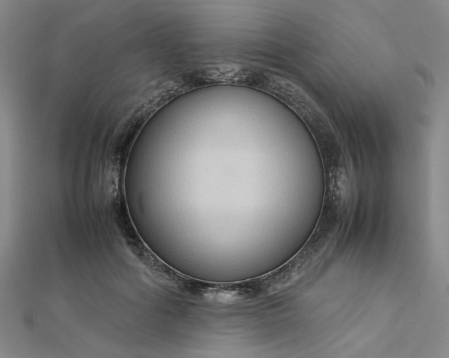 X0000112730602200909031446