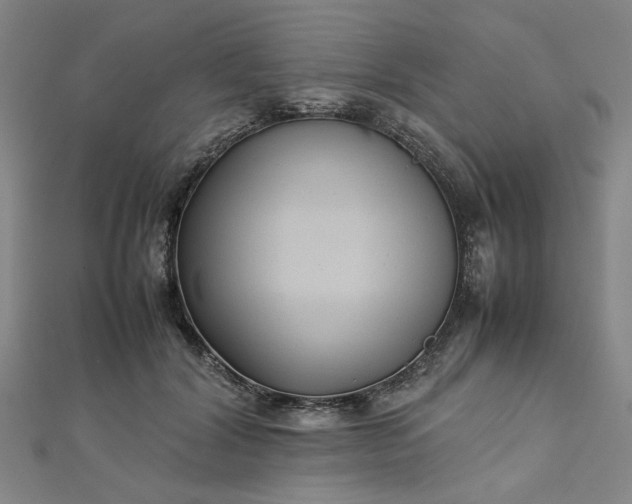 X0000112730604200909031446