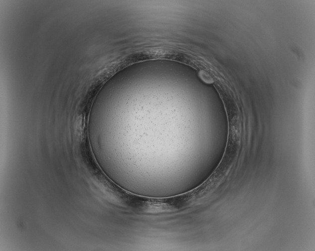 X0000112730605200909031446