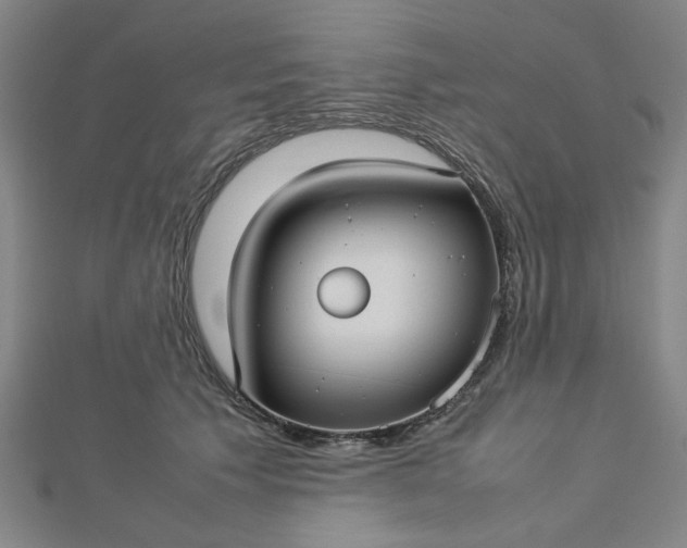 X0000112730609200909031446