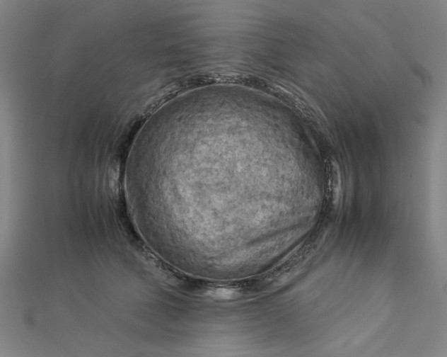 X0000112730610200909031446