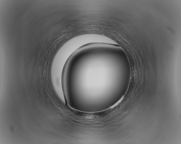 X0000112730611200909031446