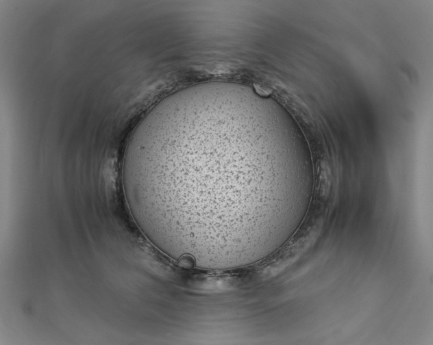 X0000112730612200909031446