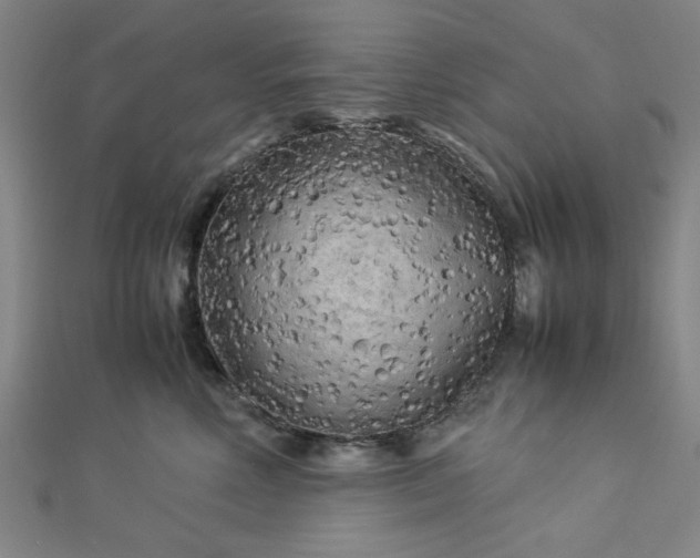 X0000112730618200909031446