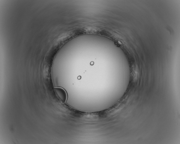 X0000112730619200909031446