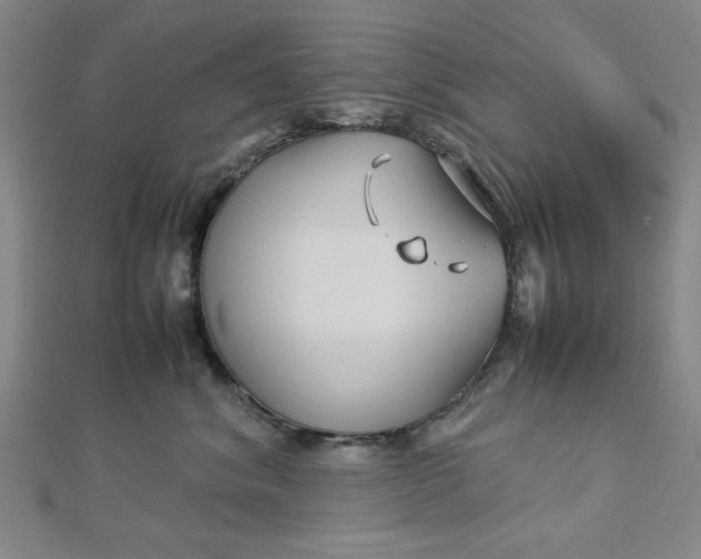 X0000112730620200909031446