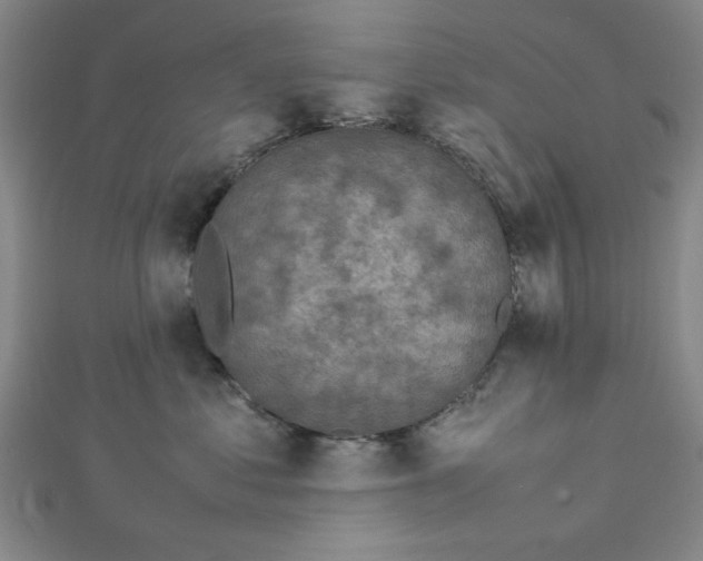 X0000112730621200909031446