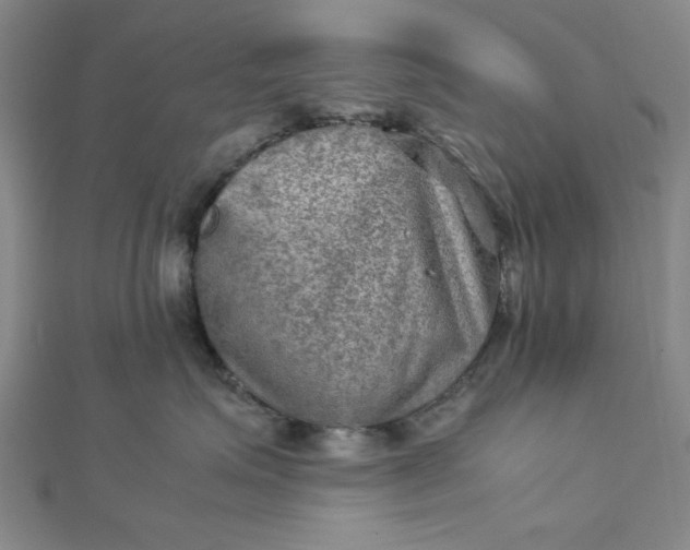 X0000112730623200909031446