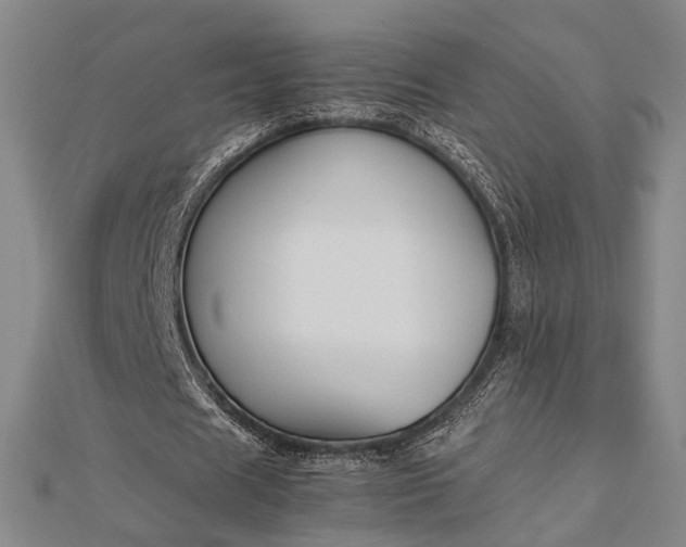 X0000112730625200909031445