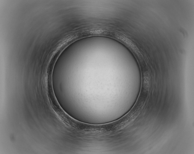 X0000112730626200909031445