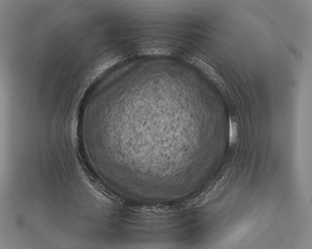 X0000112730627200909031445