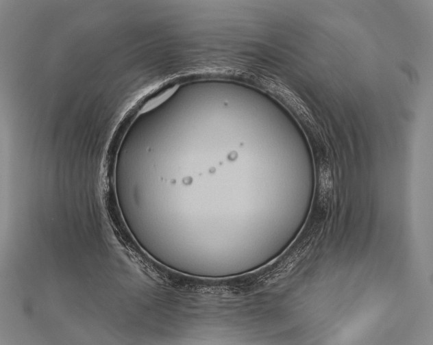 X0000112730628200909031445