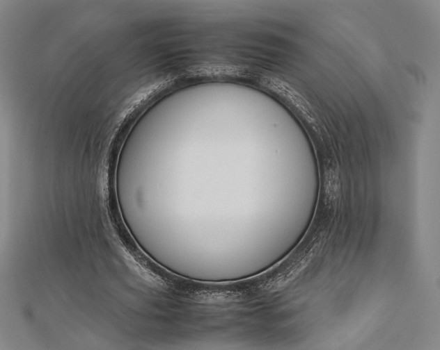 X0000112730629200909031445