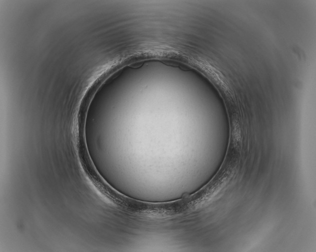 X0000112730630200909031445