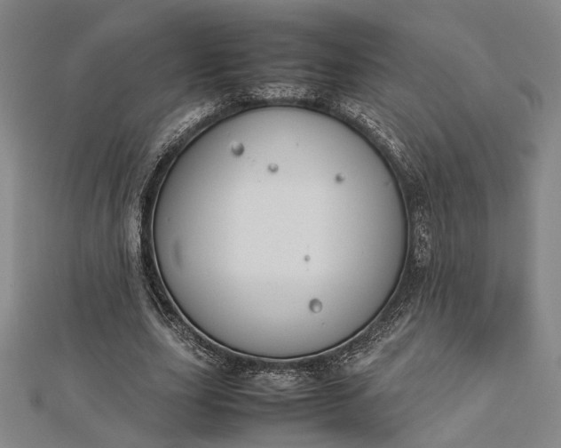 X0000112730631200909031445