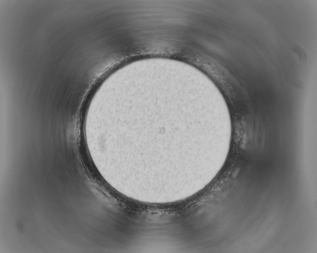 X0000112730632200909031445