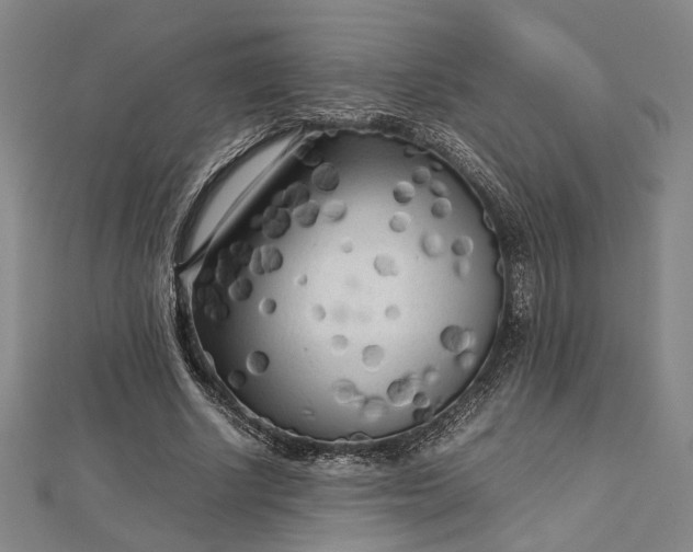 X0000112730634200909031445