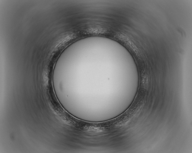 X0000112730635200909031445