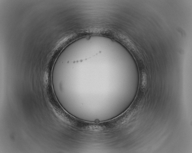 X0000112730636200909031445