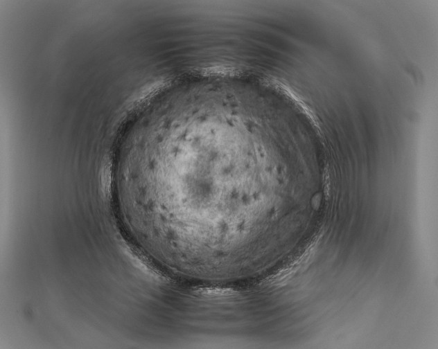 X0000112730637200909031445