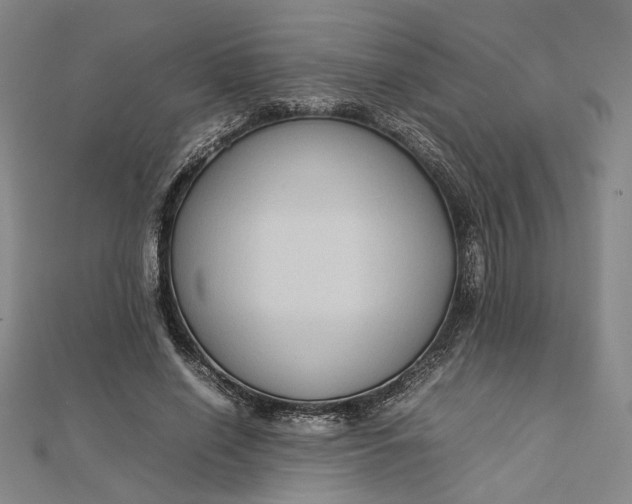 X0000112730638200909031445