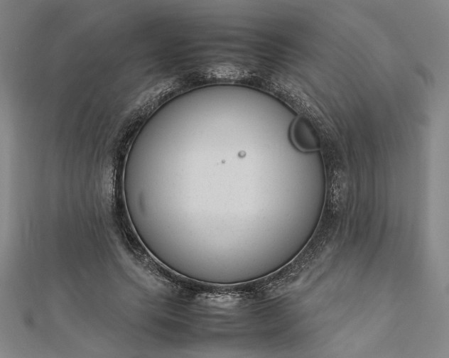 X0000112730639200909031445