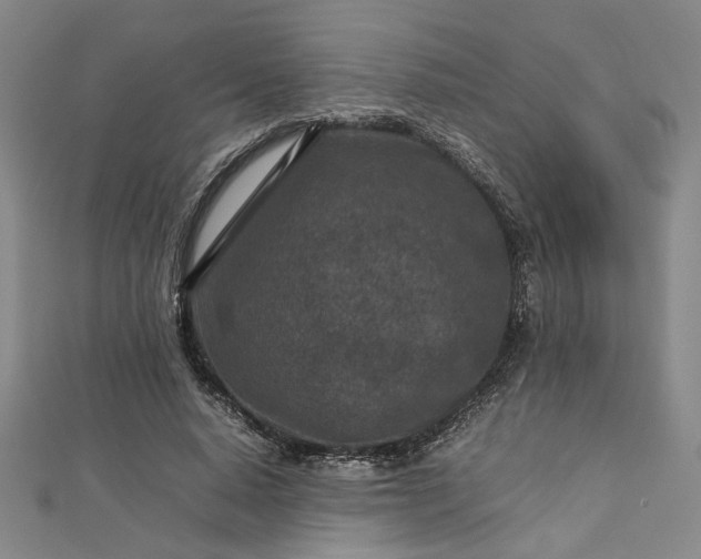 X0000112730640200909031445