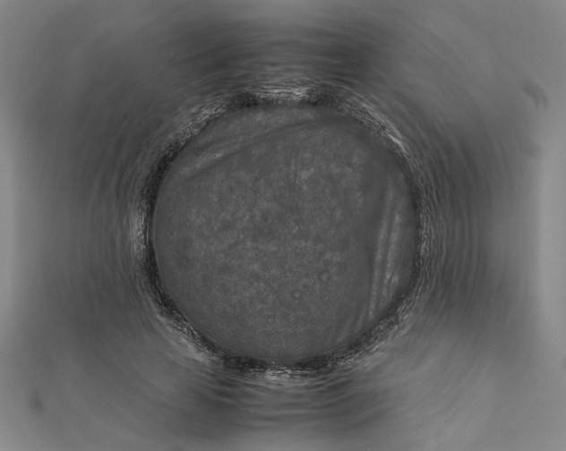 X0000112730641200909031445