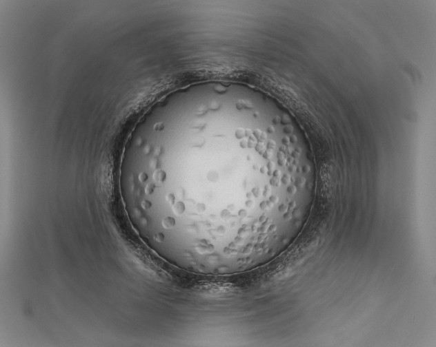 X0000112730642200909031445