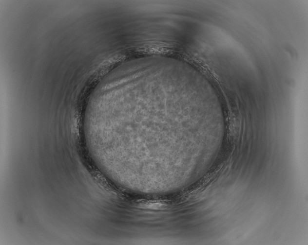 X0000112730643200909031445