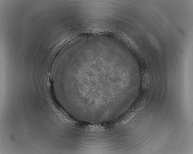 X0000112730644200909031445