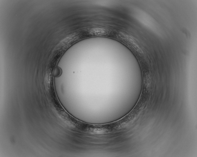 X0000112730645200909031445