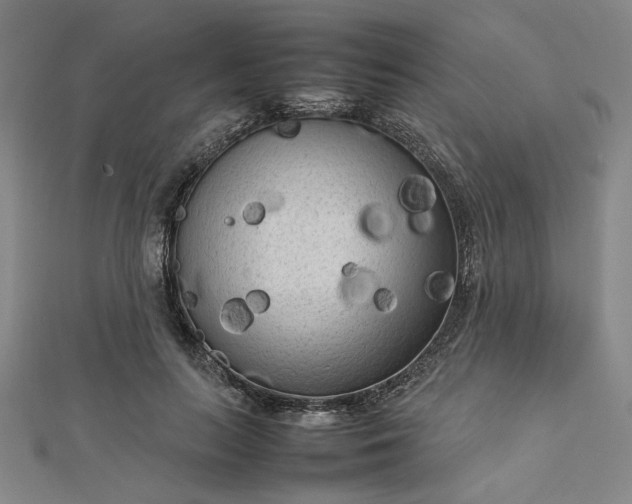 X0000112730647200909031445