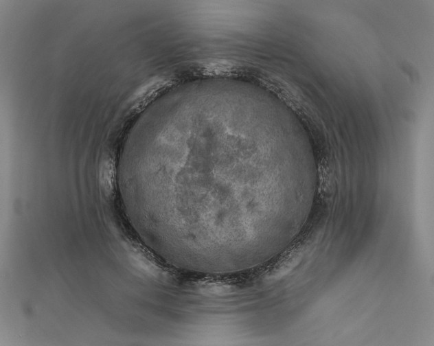 X0000112730648200909031445