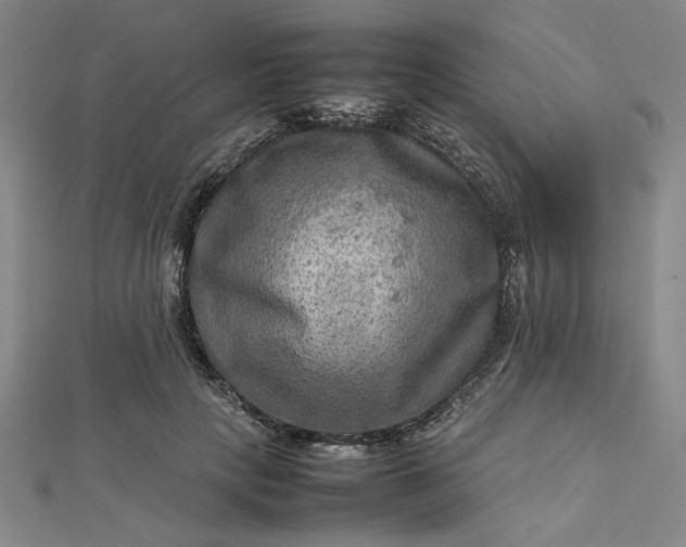 X0000112730649200909031445