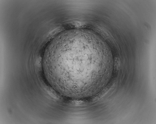 X0000112730650200909031445