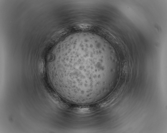 X0000112730651200909031445